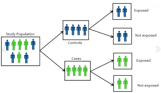 Cross-Sectional