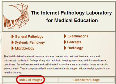 WebPath Example